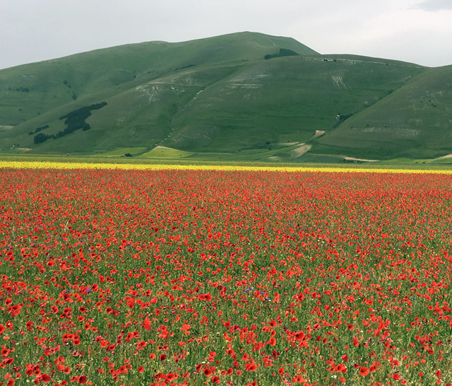 Castelluccio di Norcia