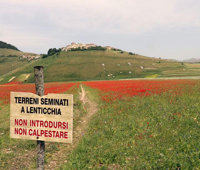 Castelluccio di Norcia