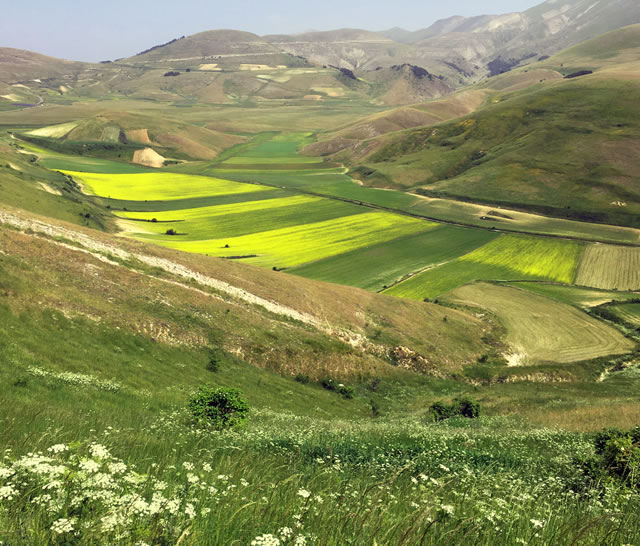 Castelluccio di Norcia